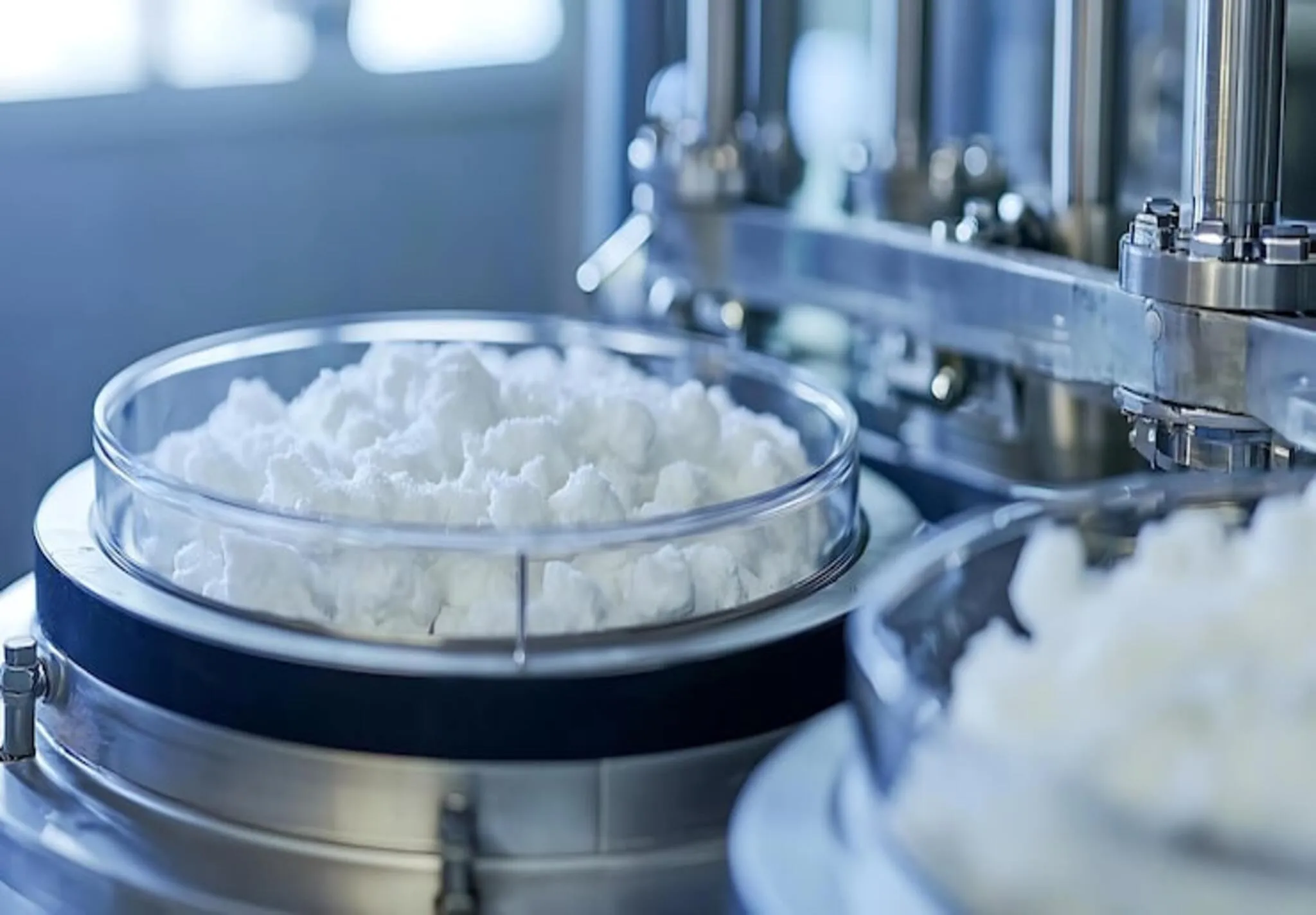 Food Grade Citric Acid: Anhydrous vs Monohydrate - Which One Do You Need?