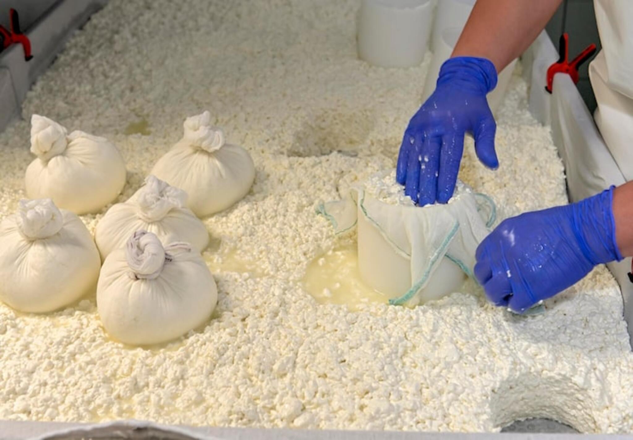 Why Calcium Chloride is Used in Tofu Production